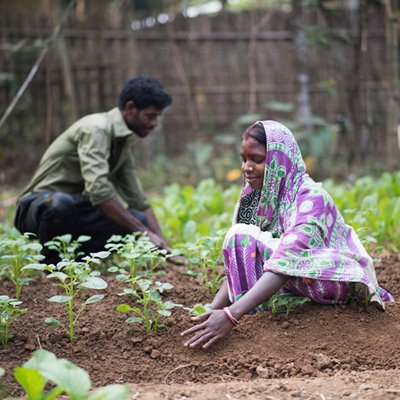 Jardinería para familias